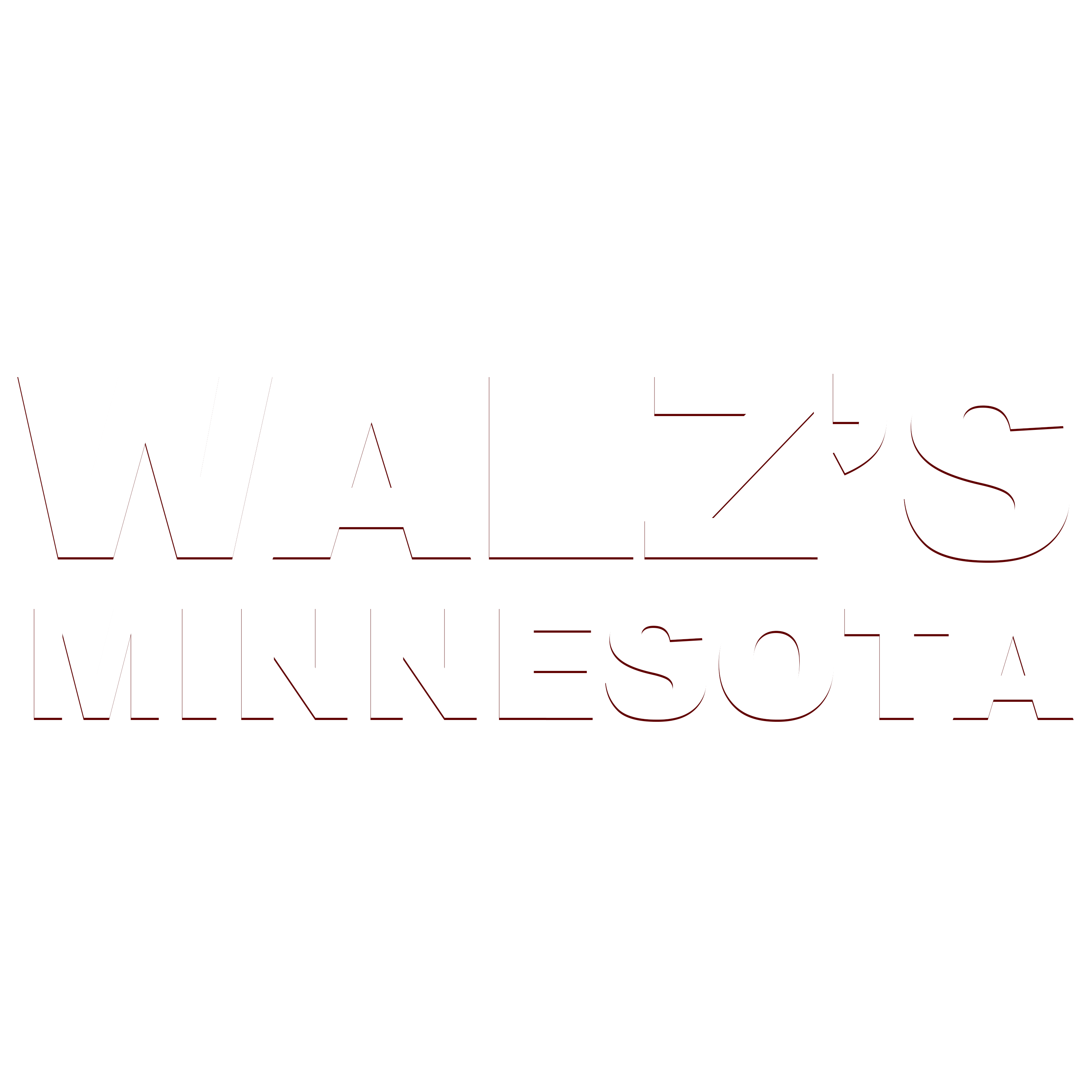 Walz Logo Web